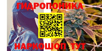 мяу мяу кристалл Гай