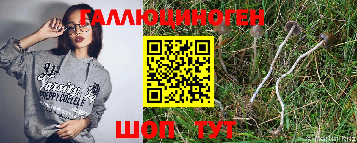 Галлюциногенные грибы Psilocybine cubensis  Псилоцибиновые грибы Psilocybe  Можайск  Вход с VPN 